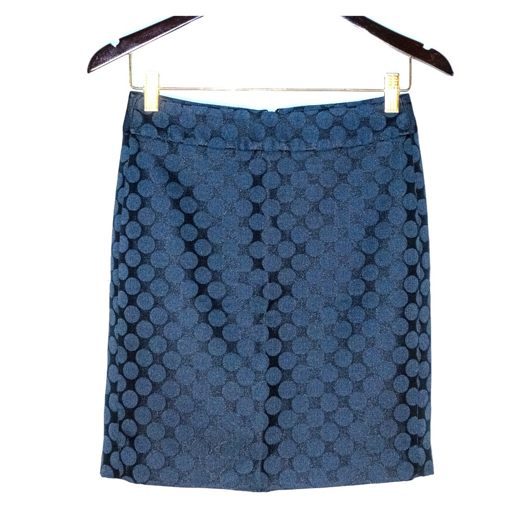 Banana Republic Navy Skirt